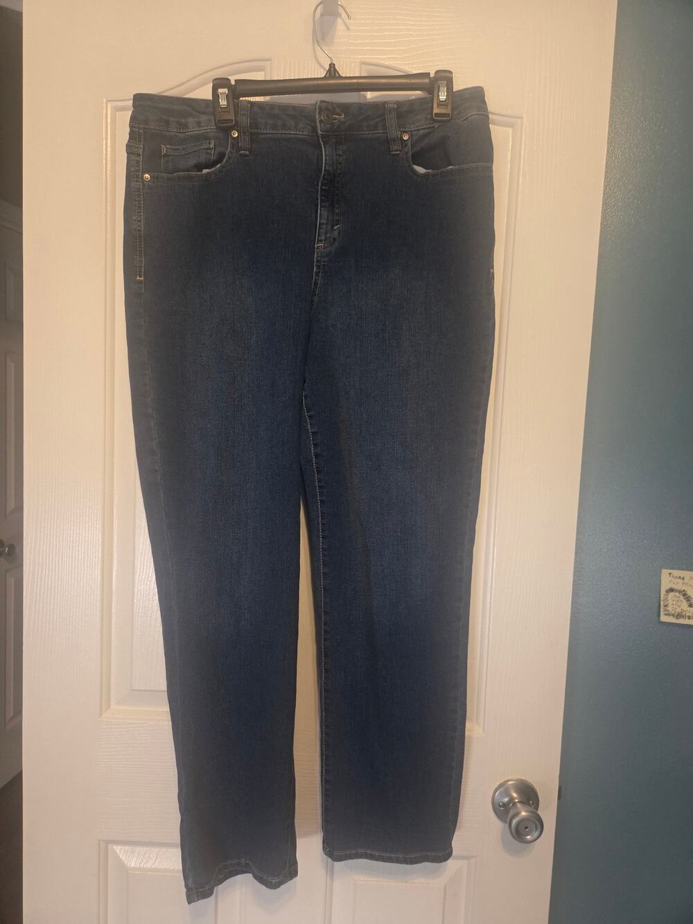 Style & Co. Jeans Size 16S